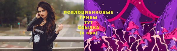 дживик Белоозёрский