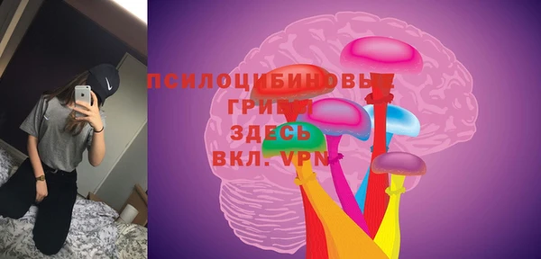 спиды Богданович