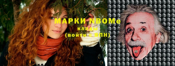 спиды Богданович
