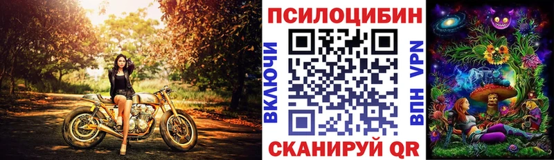 Галлюциногенные грибы мицелий  OMG онион  Верещагино 